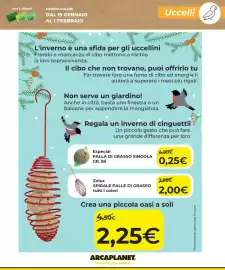 Volantino Arcaplanet Pagina 25