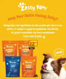 Volantino Arcaplanet Pagina 29