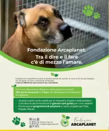 Volantino Arcaplanet Pagina 38