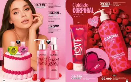 Catálogo Loguin Página 60