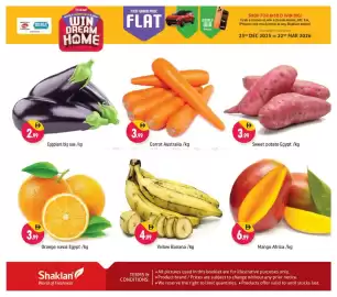 Shaklan leaflet Page 3