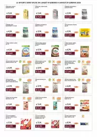 Volantino Prezzemolo e Vitale Pagina 13