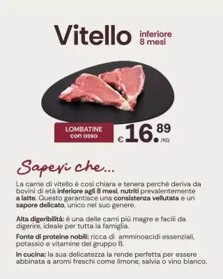 Volantino Centro Carne (valido fino al 1-02)