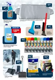 Mrówka gazetka Strona 11