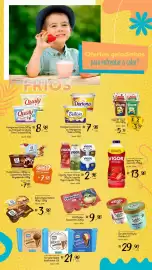 Encarte Giassi Supermercados Página 13
