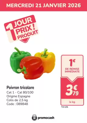 Catalogue Promocash (valable jusqu'au 21-01)