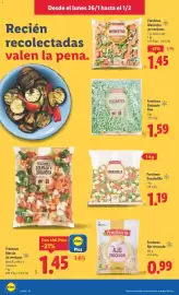 Catálogo Lidl semana 5 Página 10