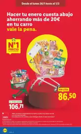 Catálogo Lidl semana 5 Página 2