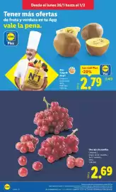 Catálogo Lidl semana 5 Página 4