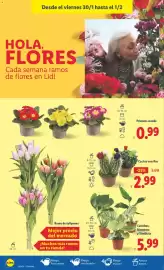 Catálogo Lidl semana 5 Página 40