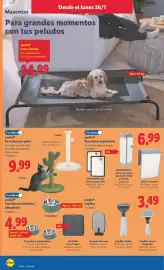 Catálogo Lidl semana 5 Página 10