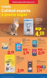 Catálogo Lidl semana 5 Página 13