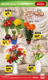 Polomarket gazetka tydzień 4 Strona 11