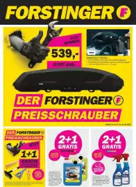 Forstinger Flugblatt Seite 1