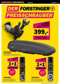 Forstinger Flugblatt Seite 12