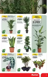 Auchan akciós újság hét 4 Oldal 3