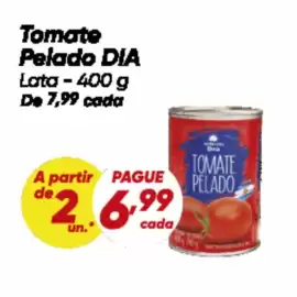 Tabloide Dia Página 2