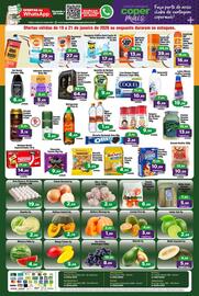 Tabloide Copercana Página 2