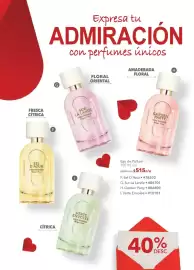 Catálogo Yves Rocher Página 100