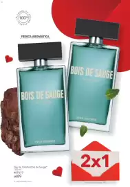 Catálogo Yves Rocher Página 104