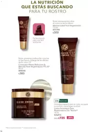 Catálogo Yves Rocher Página 20
