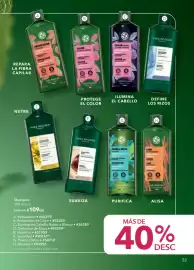 Catálogo Yves Rocher Página 55