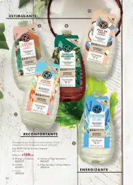 Catálogo Yves Rocher Página 71