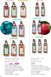 Catálogo Yves Rocher Página 75