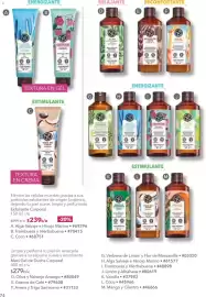 Catálogo Yves Rocher Página 79