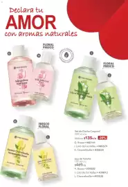 Catálogo Yves Rocher Página 96