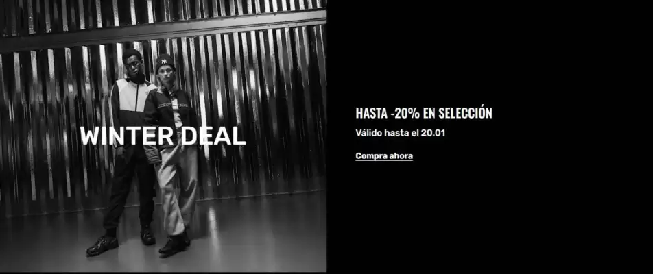 Folleto Snipes (válido hasta el 20-01)