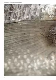 Catálogo Oriflame Página 36