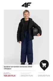 4F gazetka tydzień 4 Strona 17