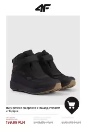 4F gazetka tydzień 4 Strona 7