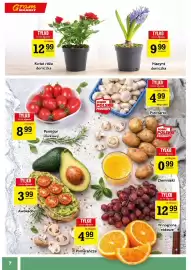 Gram Market gazetka tydzień 4 Strona 7