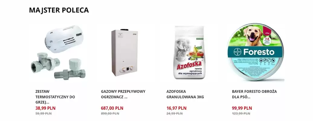 Majster gazetka (ważność do 25-01)