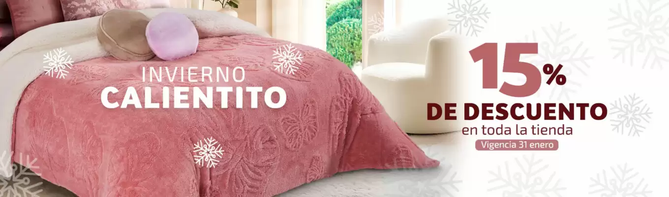 Catálogo Providencia (válido hasta 31-01)