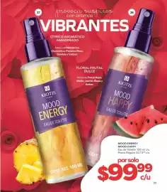 Catálogo Stanhome Página 27