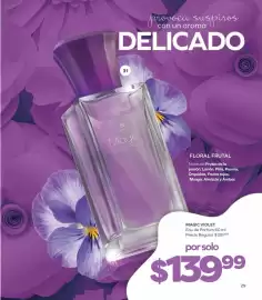 Catálogo Stanhome Página 31