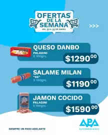 Catálogo APA Supermercados semana 4 Página 2