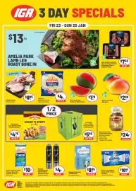 IGA catalogue Page 1