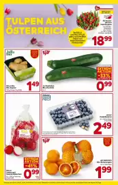 Billa Flugblatt woche 4 Seite 8