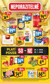 Albert leták týden 4 Strana 54