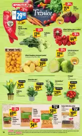 Albert leták týden 4 Strana 19