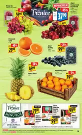 Albert leták týden 4 Strana 20