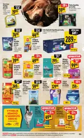 Albert leták týden 4 Strana 41