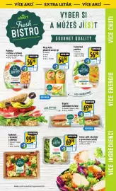 Albert leták týden 4 Strana 49