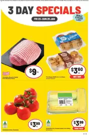 IGA catalogue Page 1