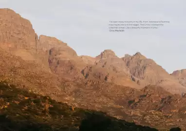 Weylandts catalogue Page 86