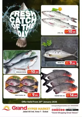 Grand Hyper Market catalogue (valid until 20-01)